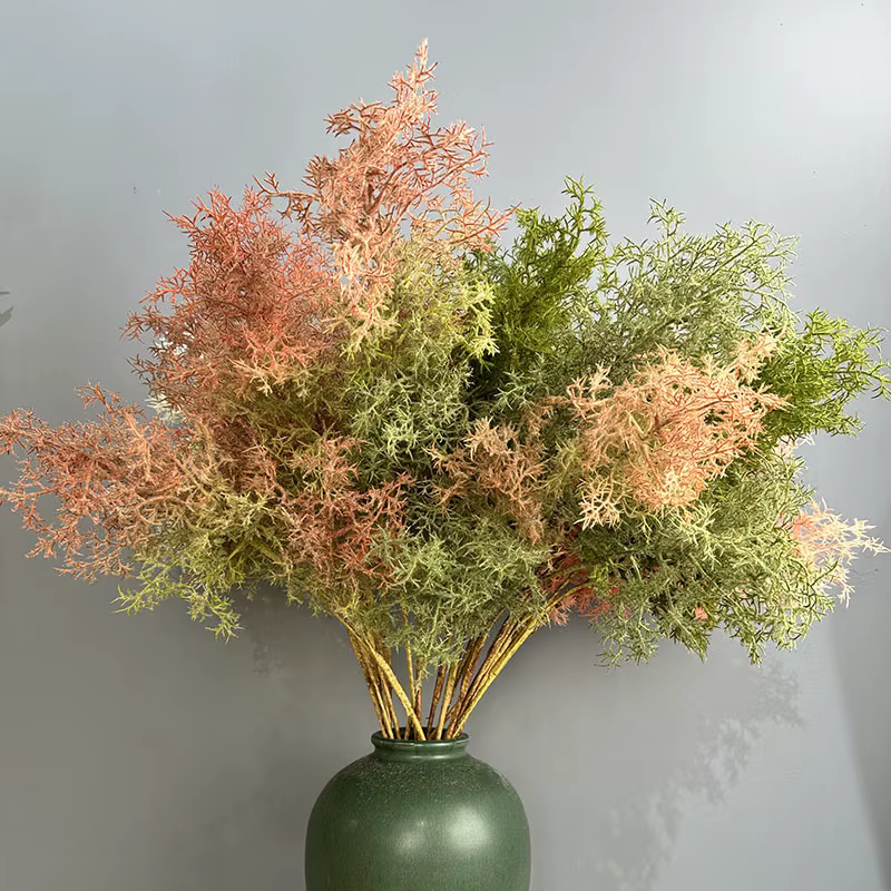 Plantes vertes enrichies de brume artificielle