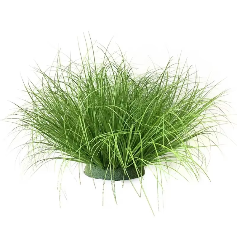 Simulation d'herbe à oignon