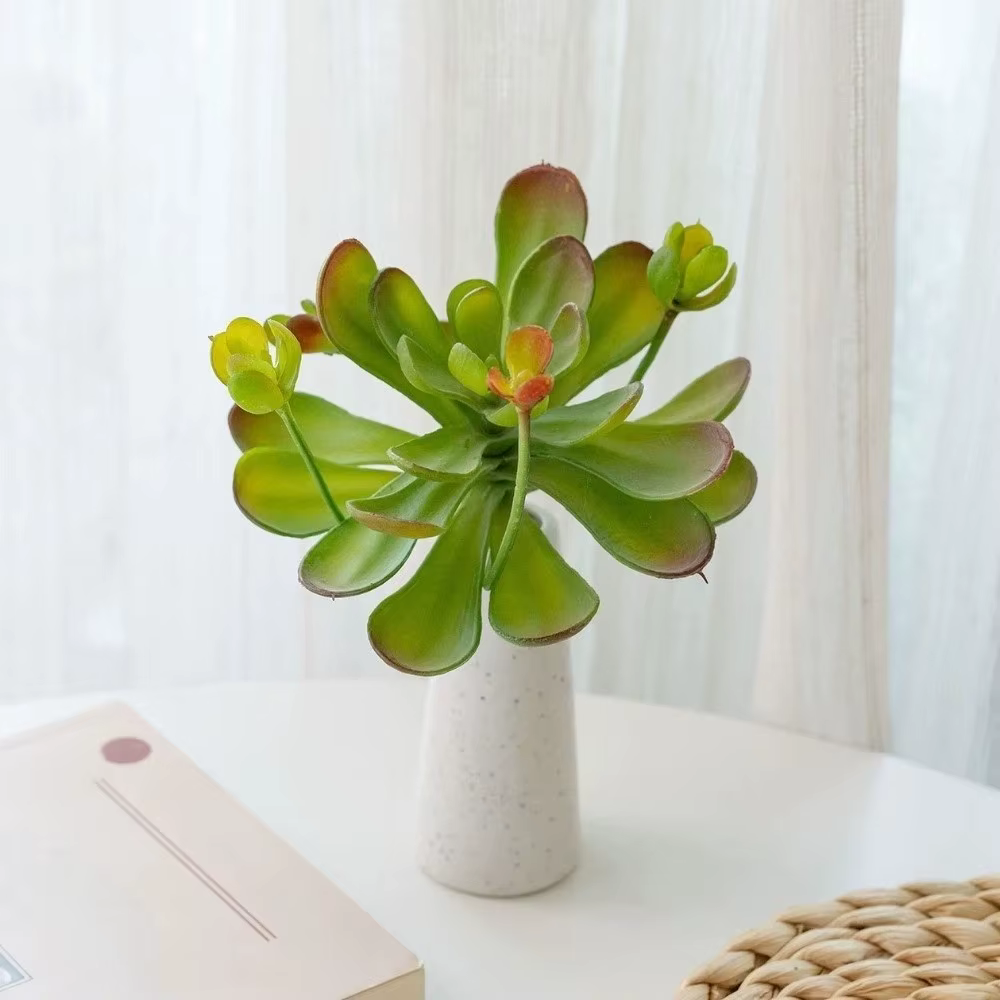 Plante succulente artificielle réaliste au toucher authentique