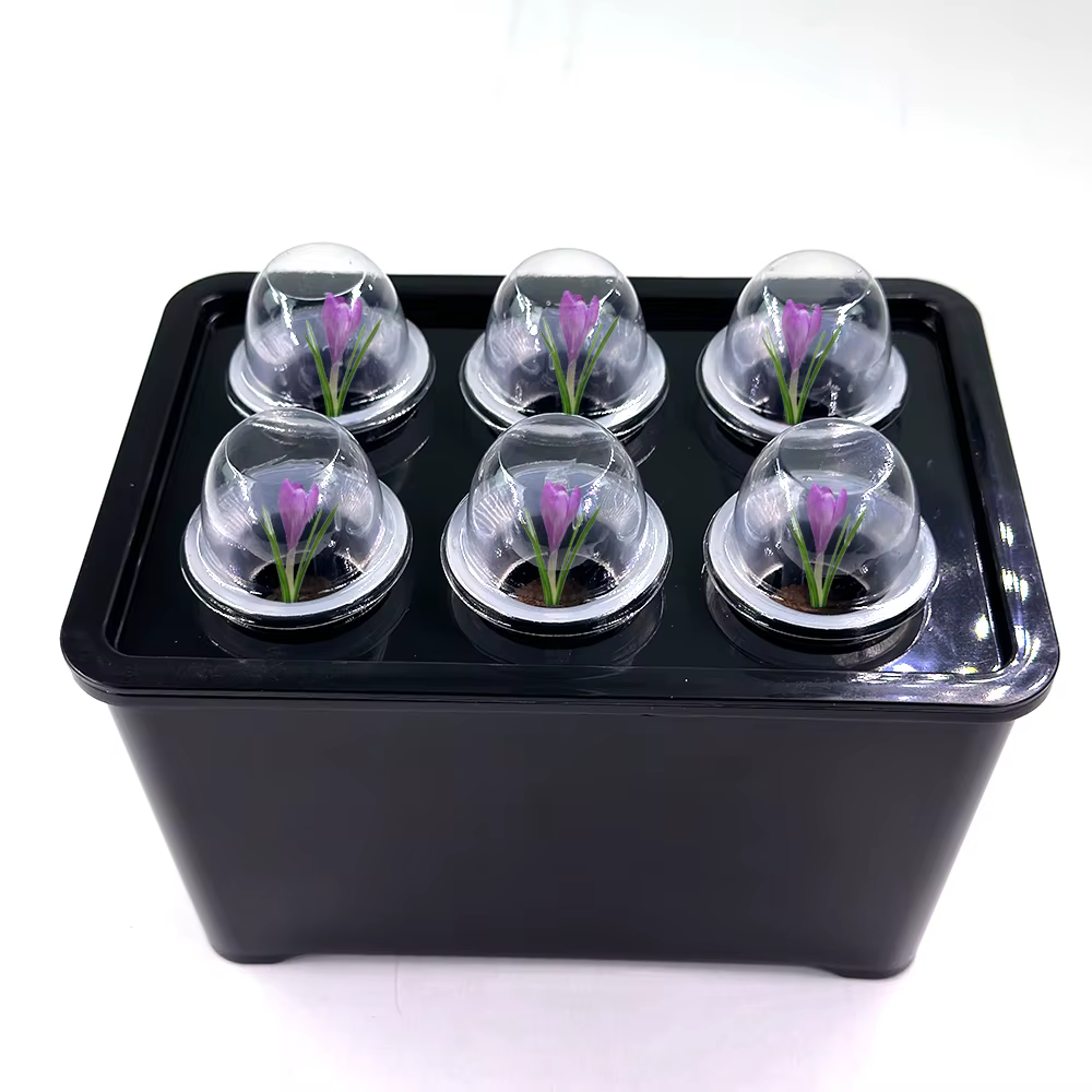 Système de culture hydroponique blanc/noir, boîte hydroponique, Pot de pépinière à 6 trous pour plantes d'intérieur de jardin, jardinière de culture végétale sans sol