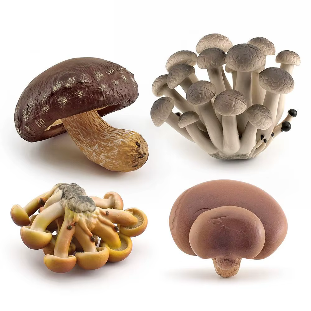 Figurines de champignons modèle végétal Matsutake Oyste Simulation artificielle champignon Pleurotus plante