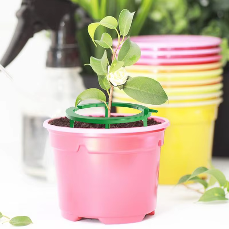 Anneaux d'eau pour plantes