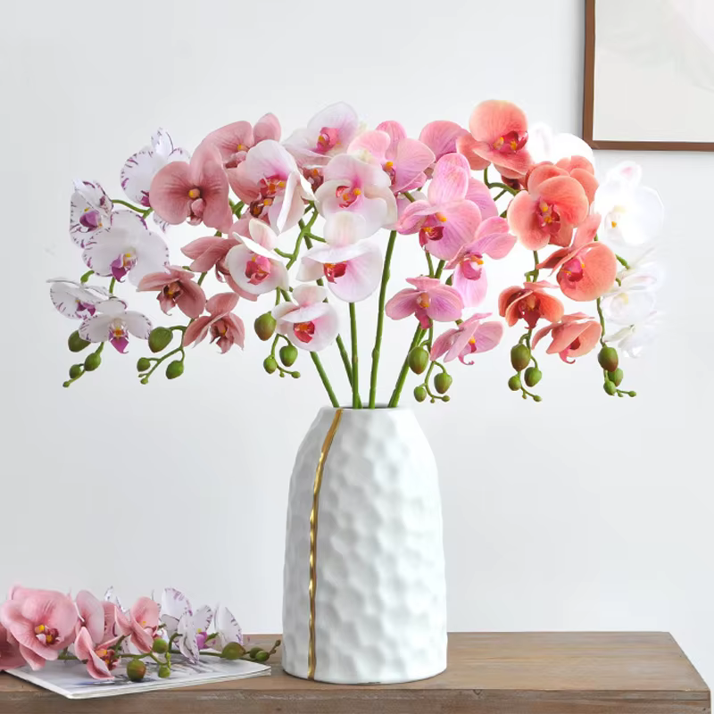Branche d'orchidée hydratante