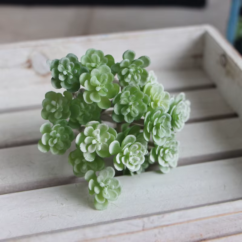 Plante succulente artificielle simulée