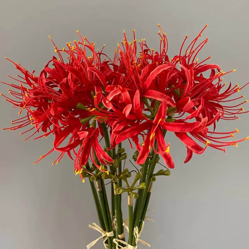 Higan – fleur de luxe à longue branche