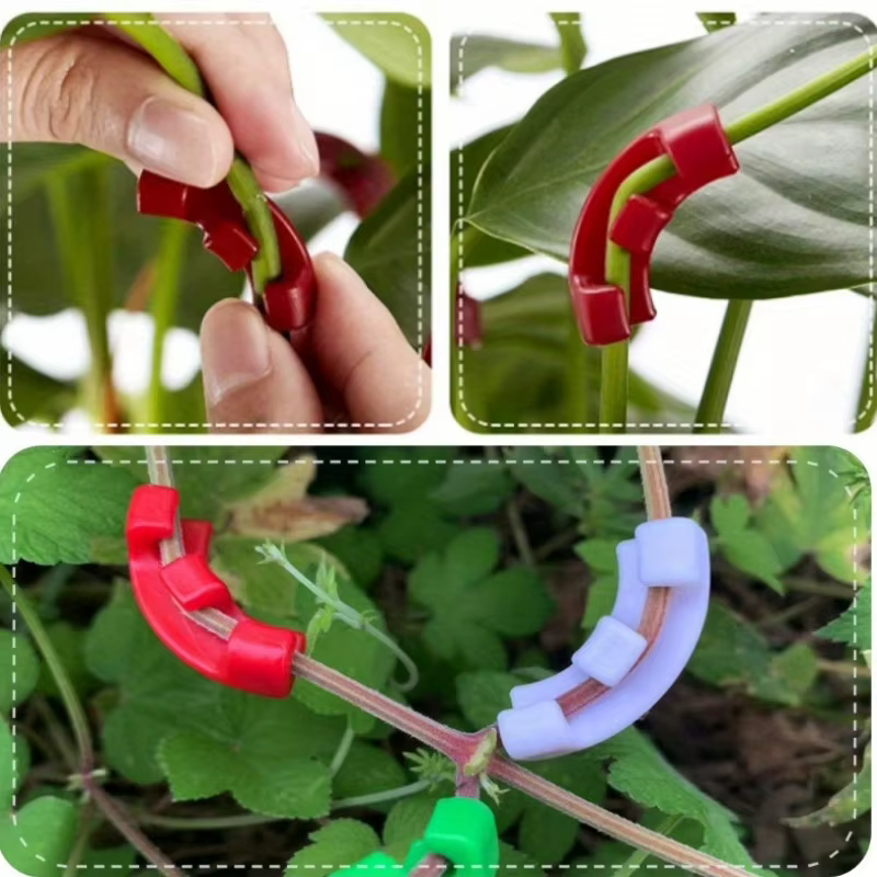 50 pinces de pliage pour plantes