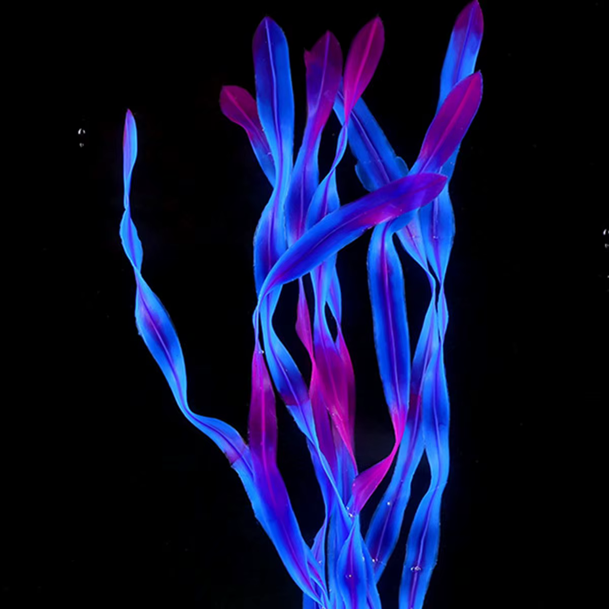 Plantes d'aquarium artificielles réalistes vertes de haute qualité