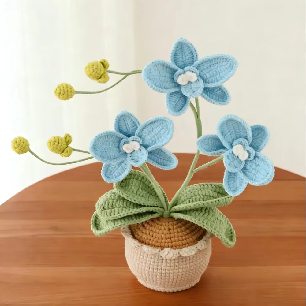 Nouvelle plante en pot en laine