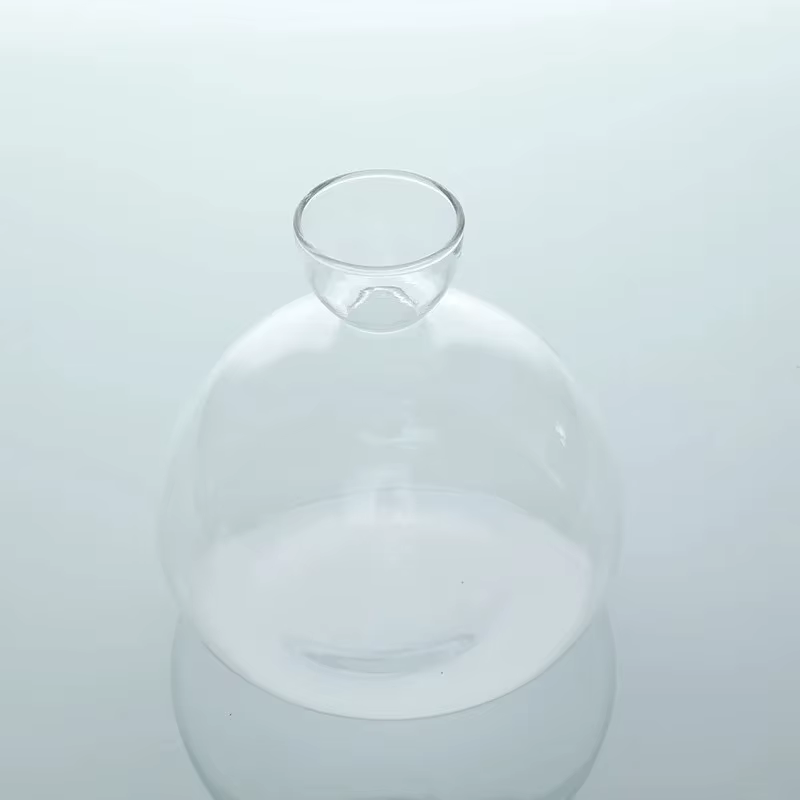 Kit de culture de graines d'avocat transparent – Vase en verre pour démarreurs de plantes