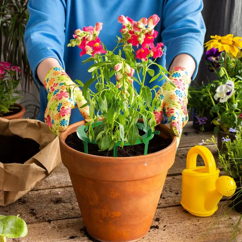 Anneau d'arrosage pour plantes