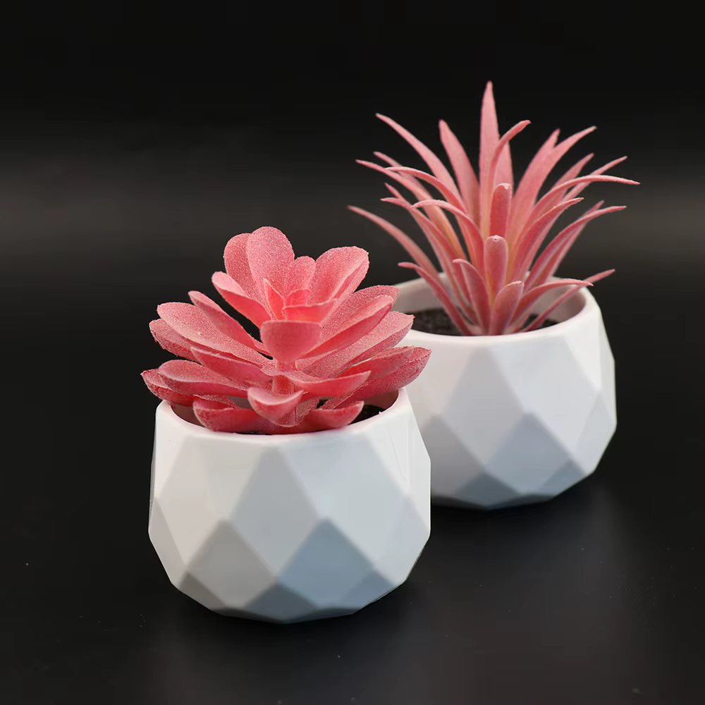 5 mini-plantes succulentes artificielles réalistes avec pot