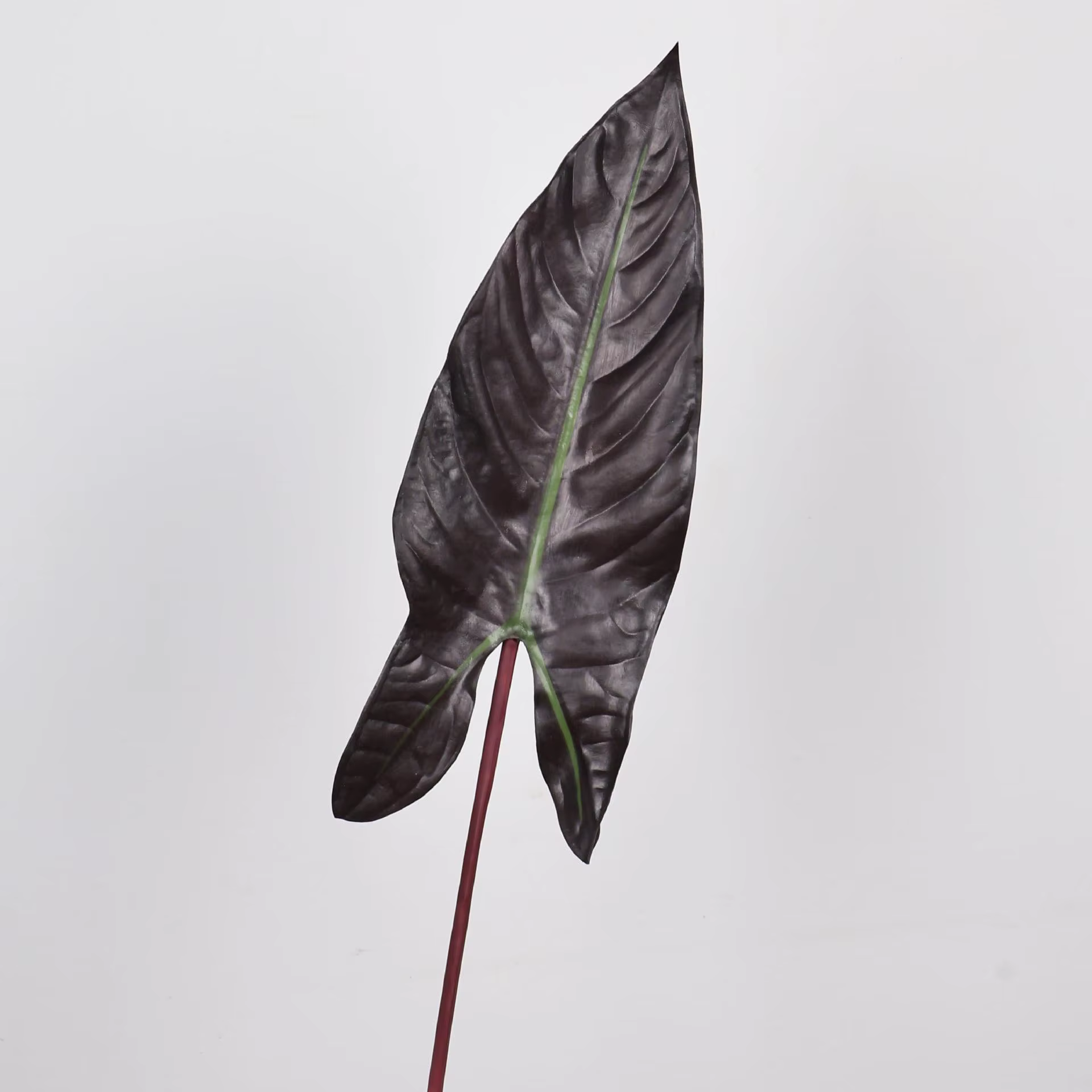 Feuille d'alocasie artificielle de 31 pouces