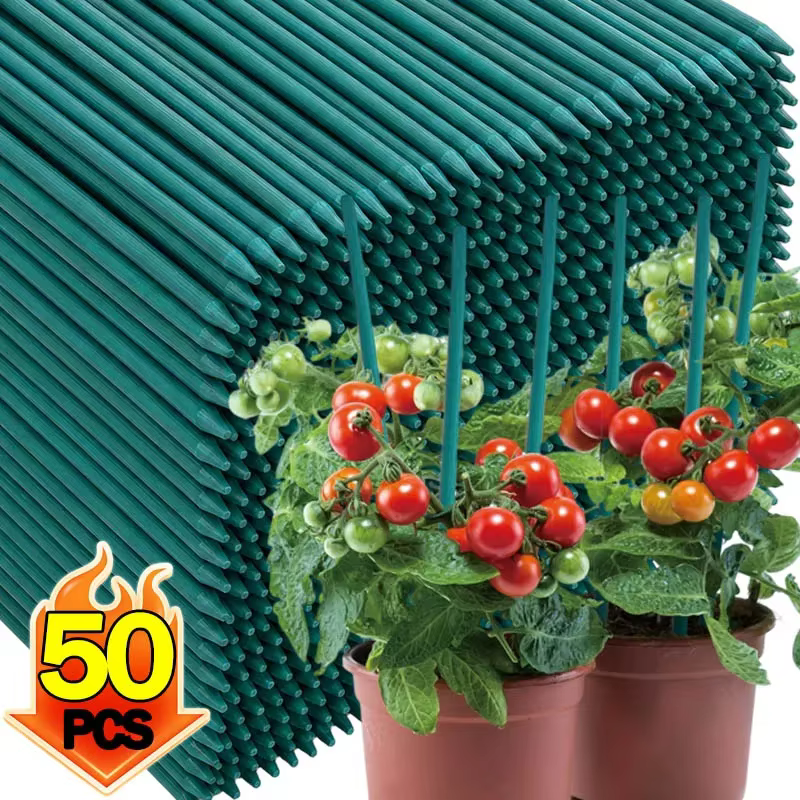 Bâtons de Soutien pour Plantes
