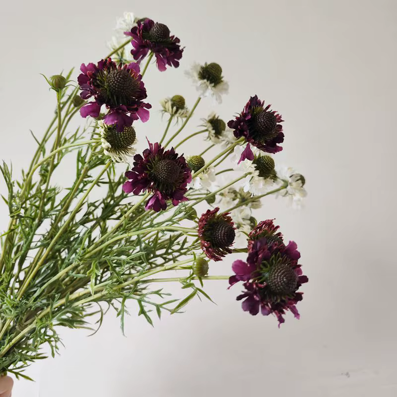 Fleurs artificielles de Scabiosa ambre
