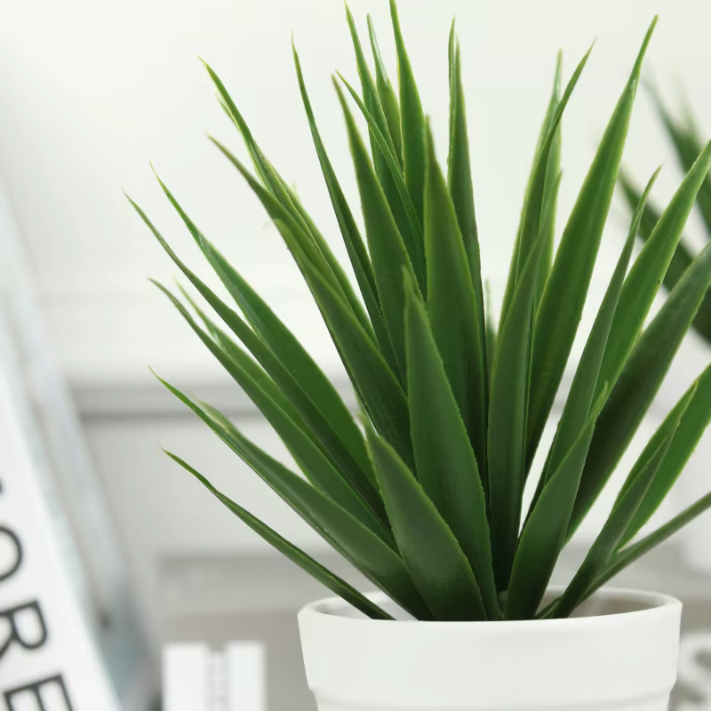 Simulation de plantes en pot