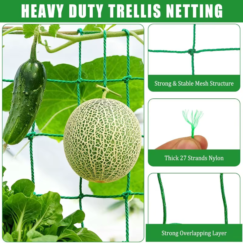 Grillage de treillis robuste pour plantes grimpantes d'extérieur