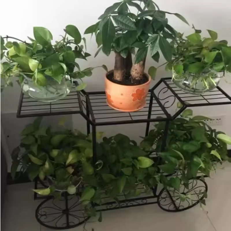 Grand Support de Plante en Métal à 6 Niveaux