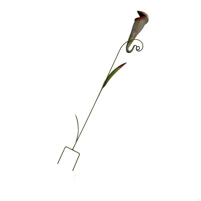Pichet artistique en fer pour plantes