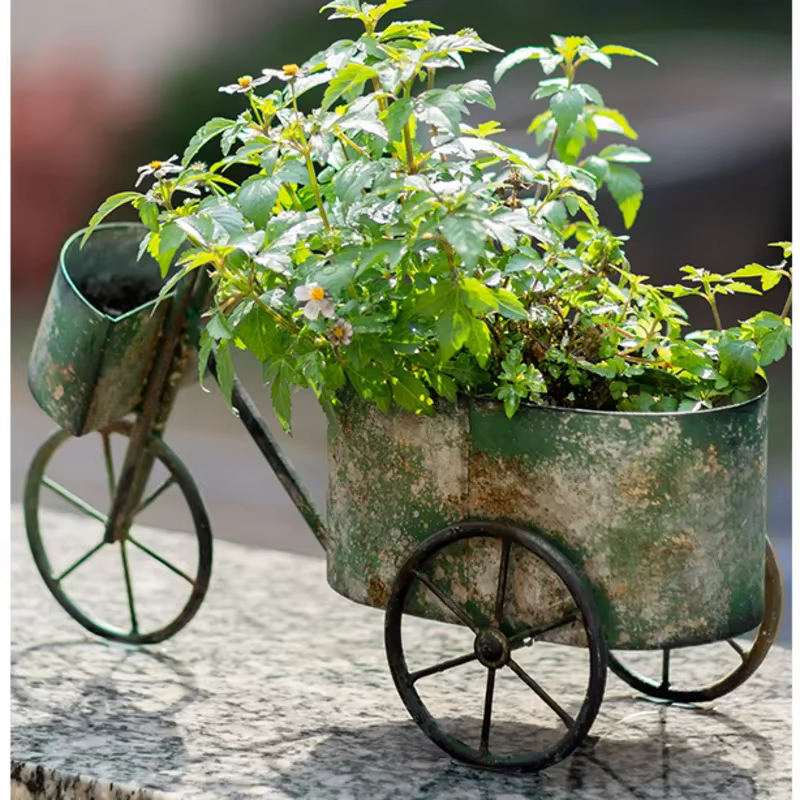 Jardinière de fleurs de vélo Vintage