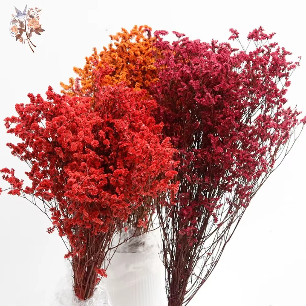 Bouquet de fleurs séchées colorées en herbe de cristal préservée naturelle