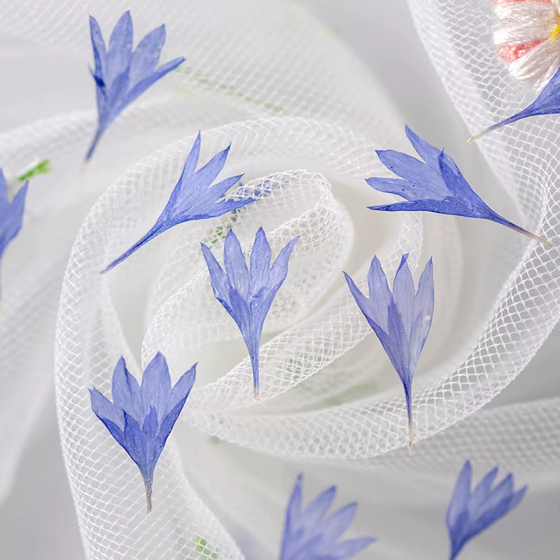 Fleur de centagaine séchée pressée