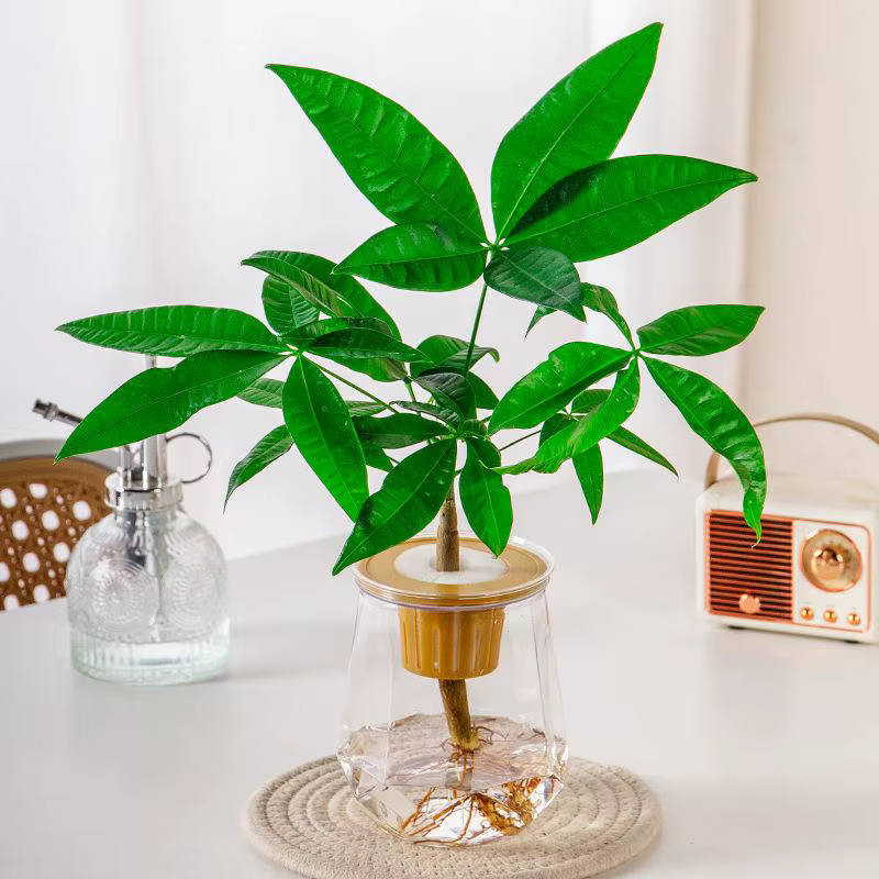 Mini Pot de fleur à arrosage automatique