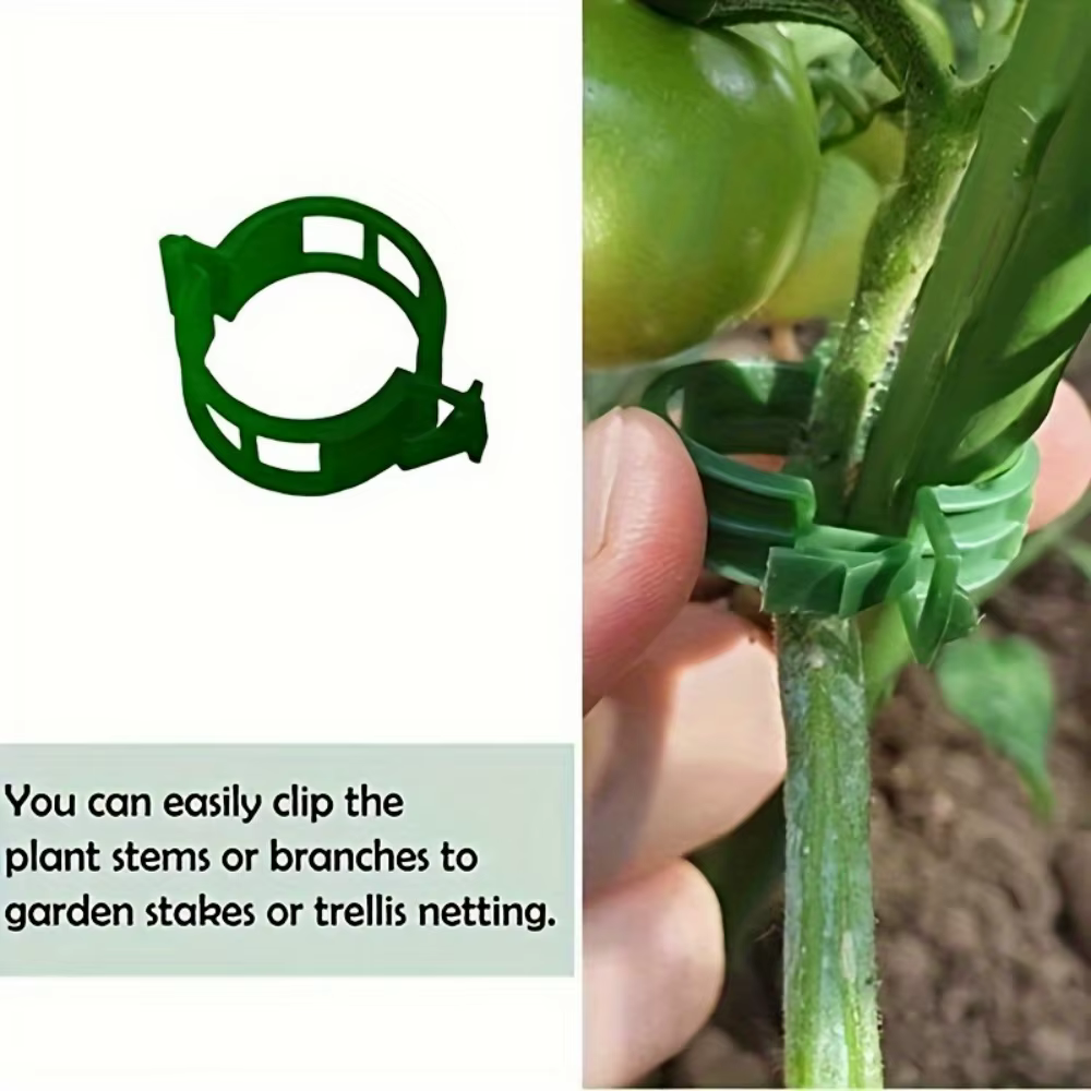 100 attaches pour plantes en plastique