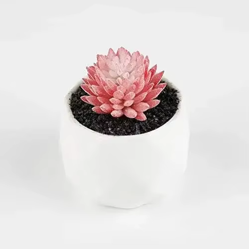 Succulentes artificielles 7 pièces fausse plante succulente réaliste artificielle