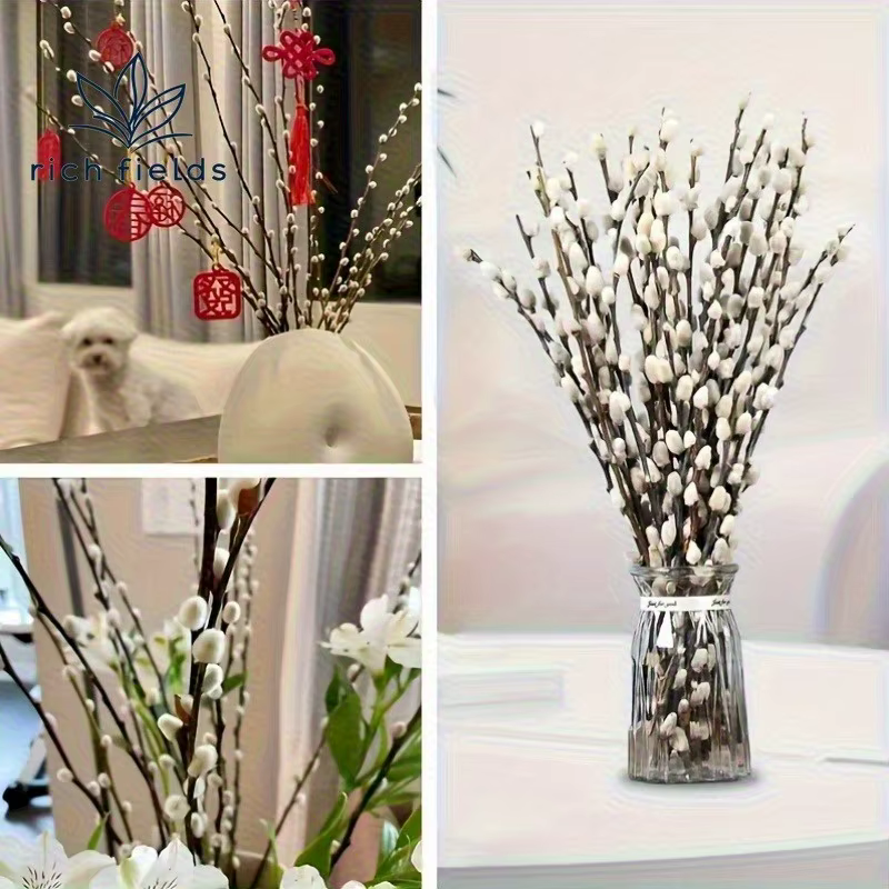 15 pièces de bouquet de saules argentés en fleurs séchées