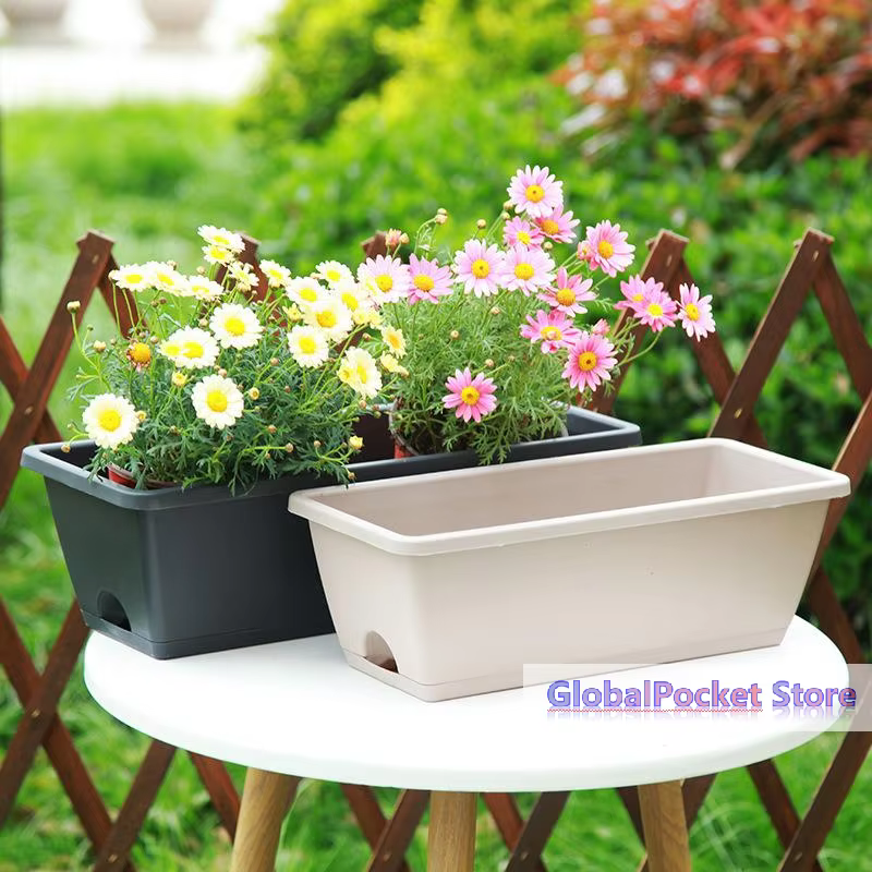 Pot de fleurs auto-absorbant pour culture de légumes d'intérieur avec trou de drainage et corde absorbante