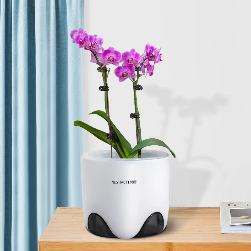 Pot d'orchidée en meshpot avec trous d'air