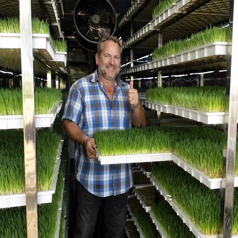 Équipement d'agriculture hydroponique en conteneur