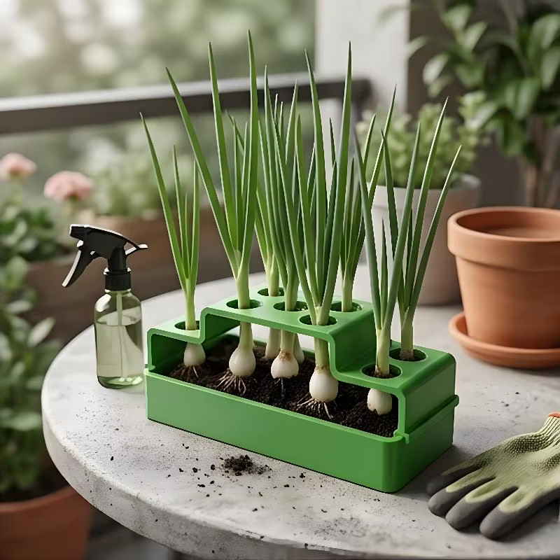 Un dispositif de plantation spécialement conçu pour les oignons verts