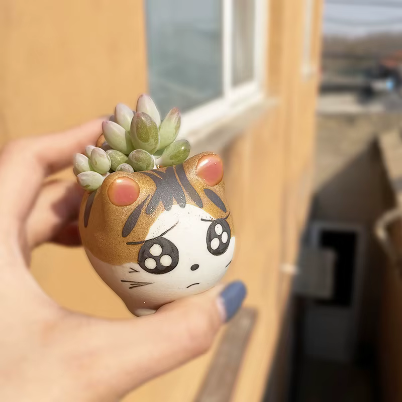 Pot de fleur en céramique pour bonsaï