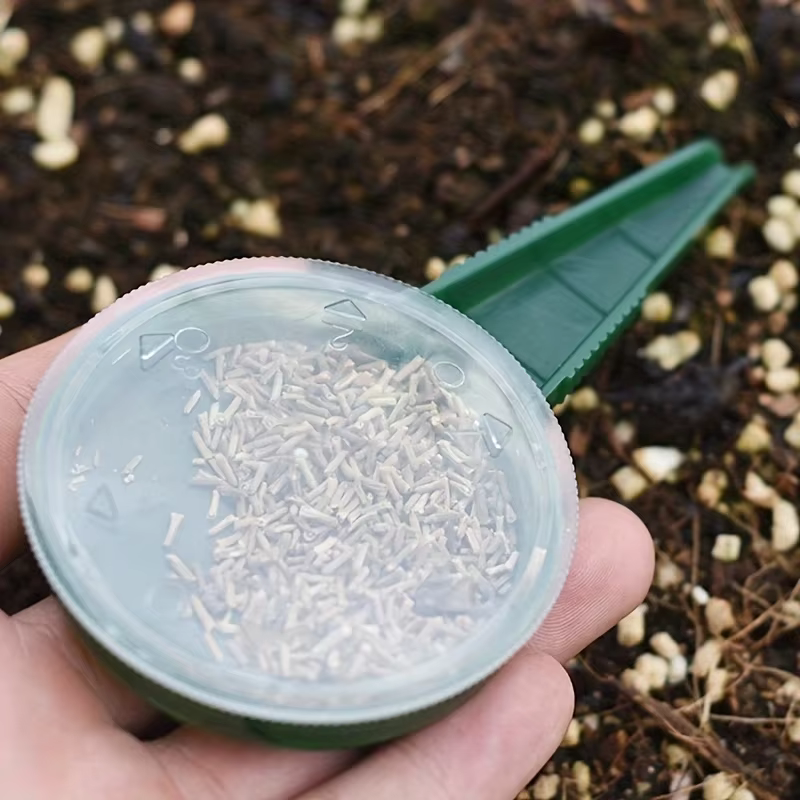 Sower de graines de plantes