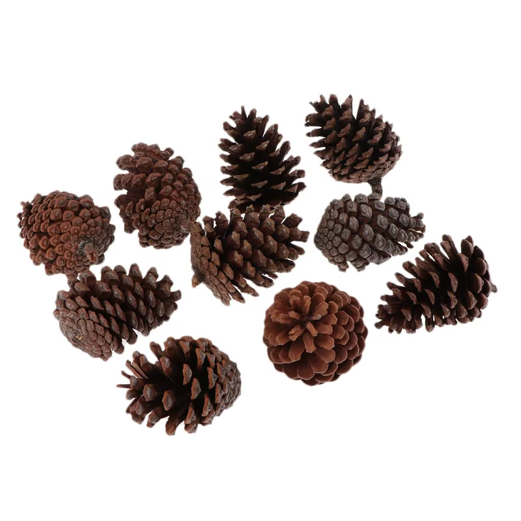 Pack de 10 pommes de pin rustiques en vrac - Ornements