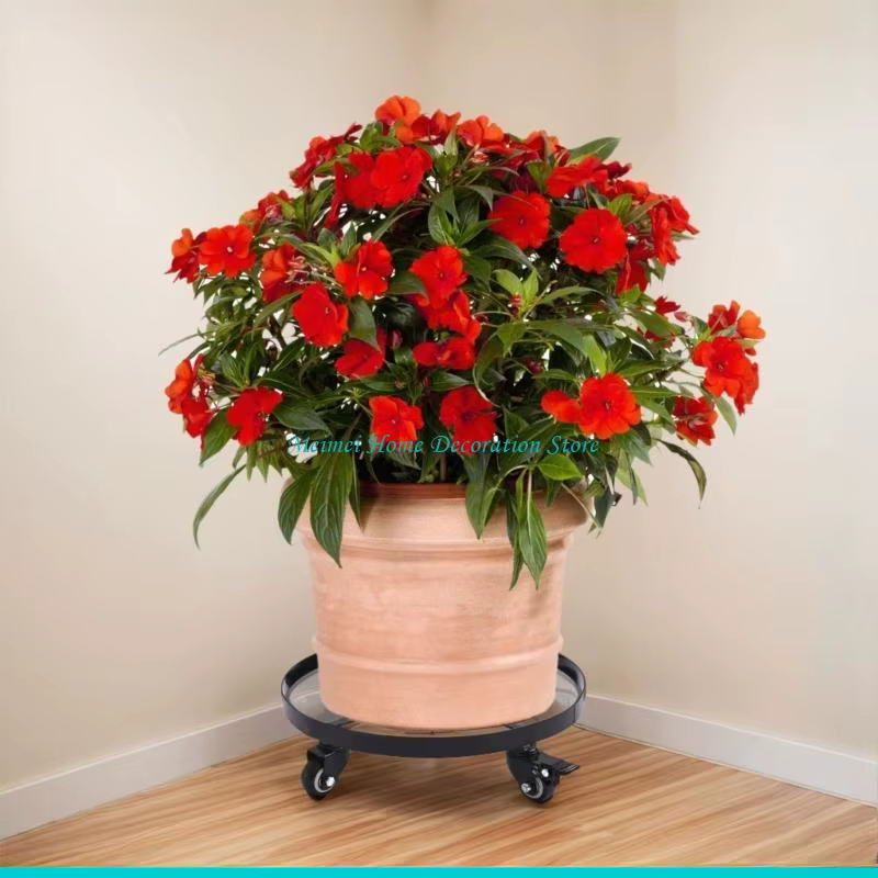 H7BF – soucoupes jardinière à roulettes à lourde