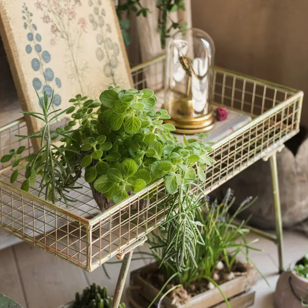 Support à plantes vintage en métal, étagère rectangulaire en fil métallique pour pots de fleurs, finition verte rétro, table de présentation de plantes d'intérieur et d'extérieur style ferme
