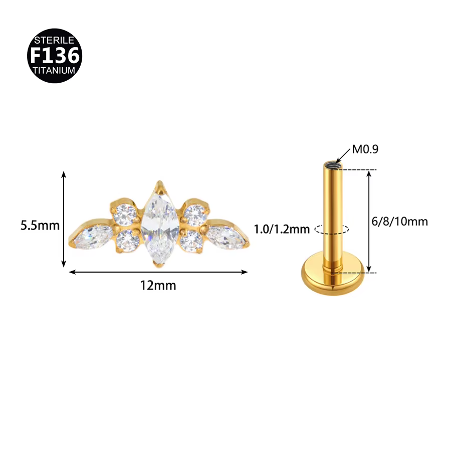 Boucles d'Oreilles en Titane F136 16G, Barre Incurvée, Piercing de Corps, Clou Labret Fileté, Tragus, Anneau Jules, Fleur Pavée Supérieure, Bijoux, 1 Pièce