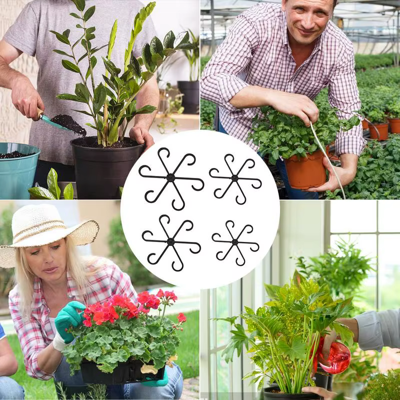 Clips de Support pour plantes grimpantes