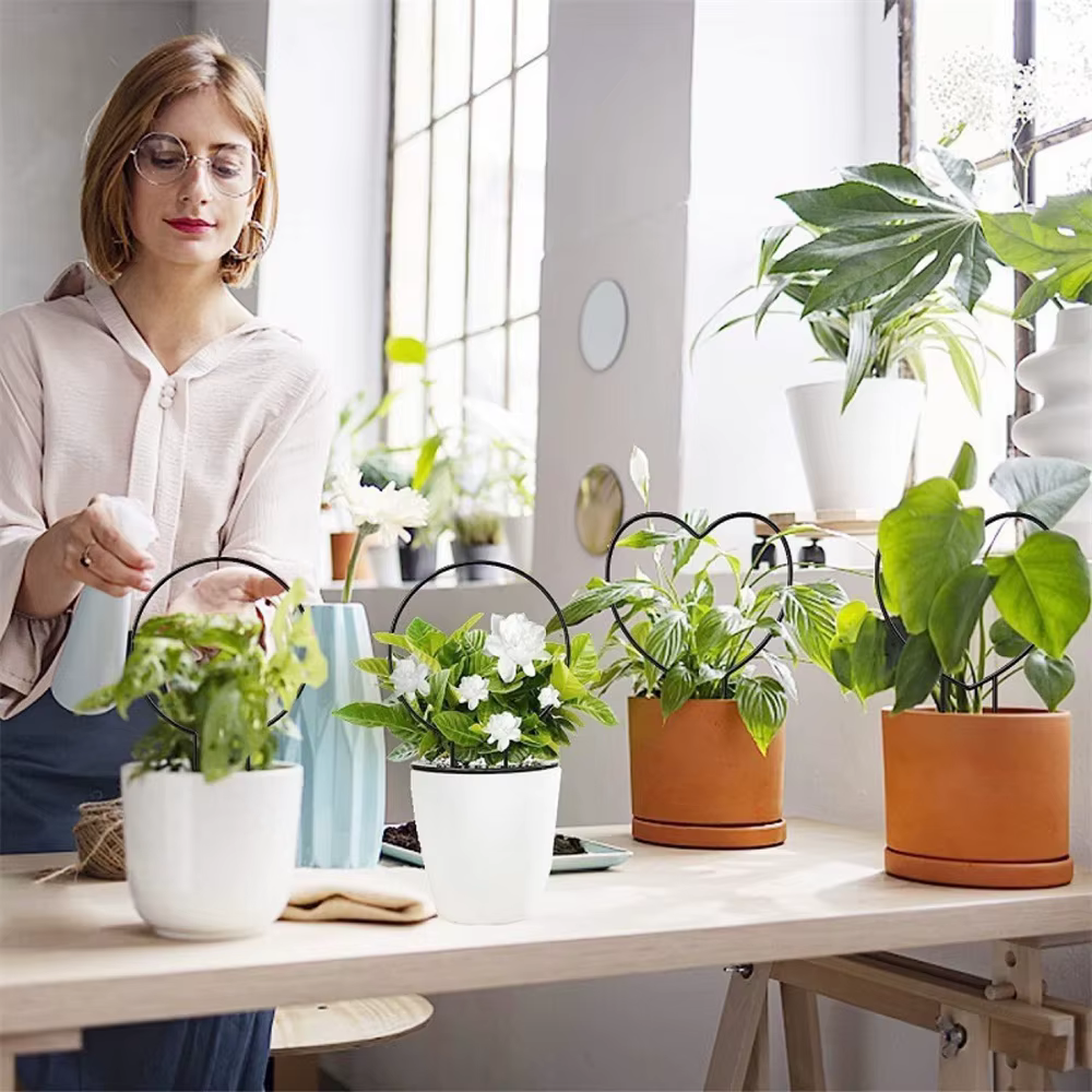 Trellis pour plantes d'intérieur