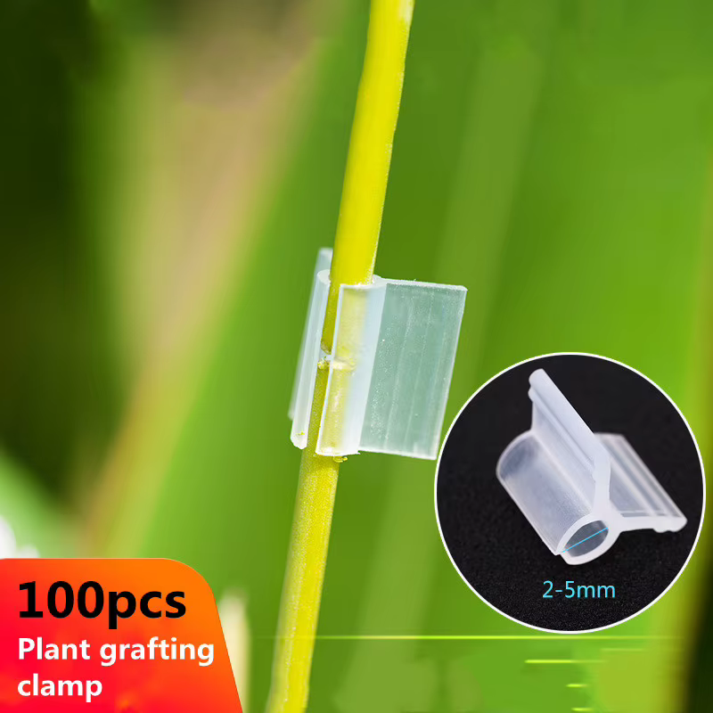 Clips de greffage de plantes