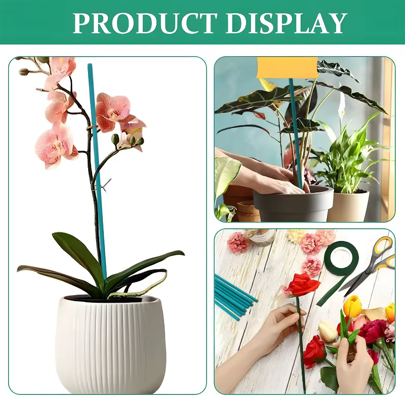Bâtons de Support pour plantes