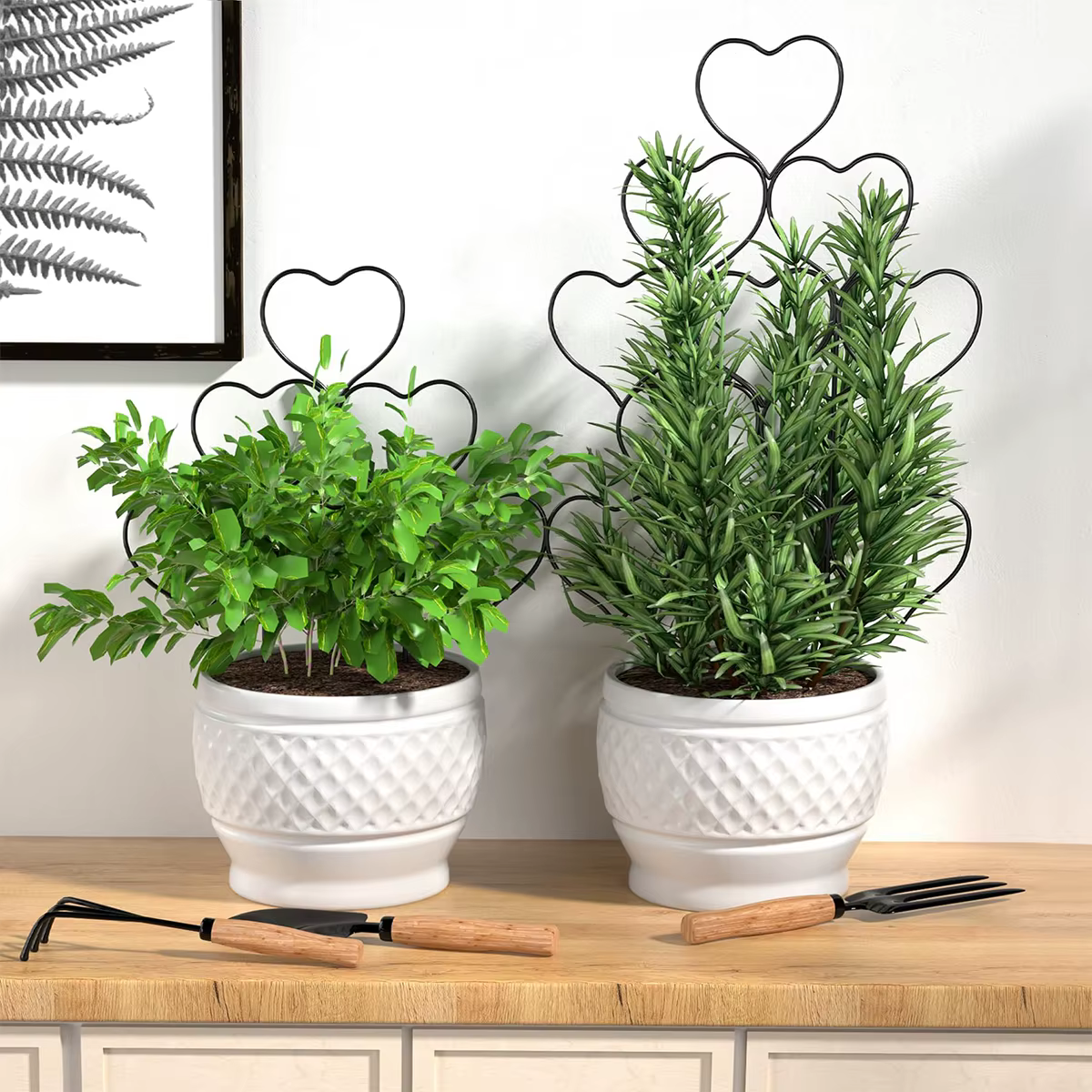 Support pour plantes, Gadgets de jardinage