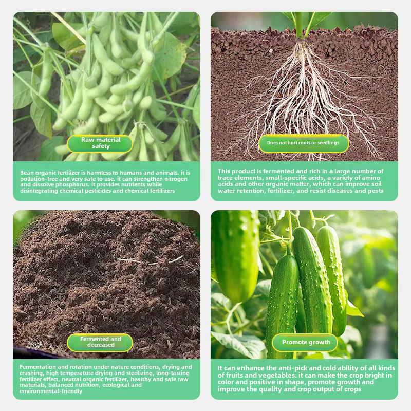 Engrais organique de repas de soja pour la fermentation de jardin de légumes à domicile et bactéries organiques de plantes végétales en pot pourri