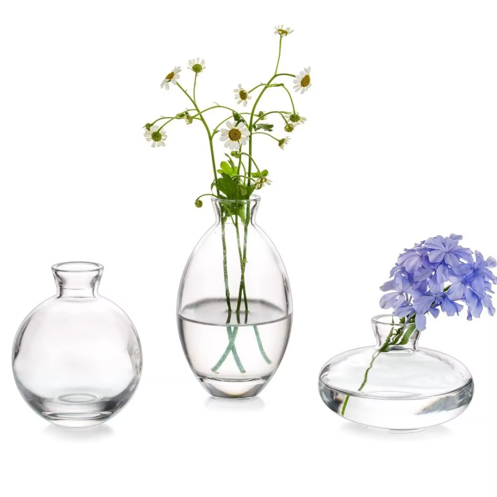 Mini Vase à fleurs Transparent créatif