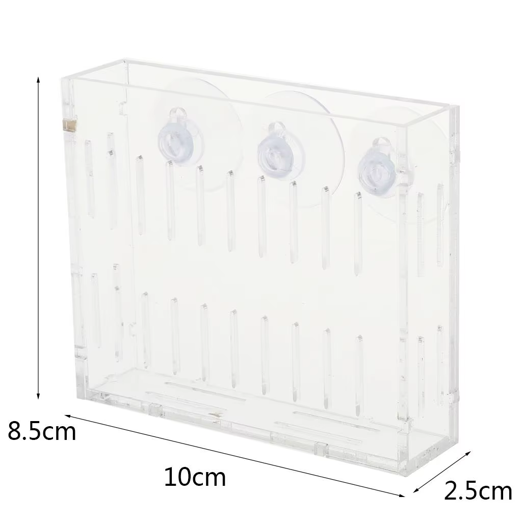 Porte-gobelet en acrylique pour plantes aquatiques