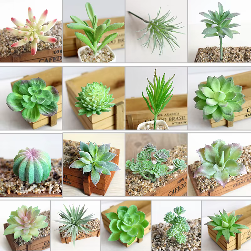 Plante succulente artificielle en plastique