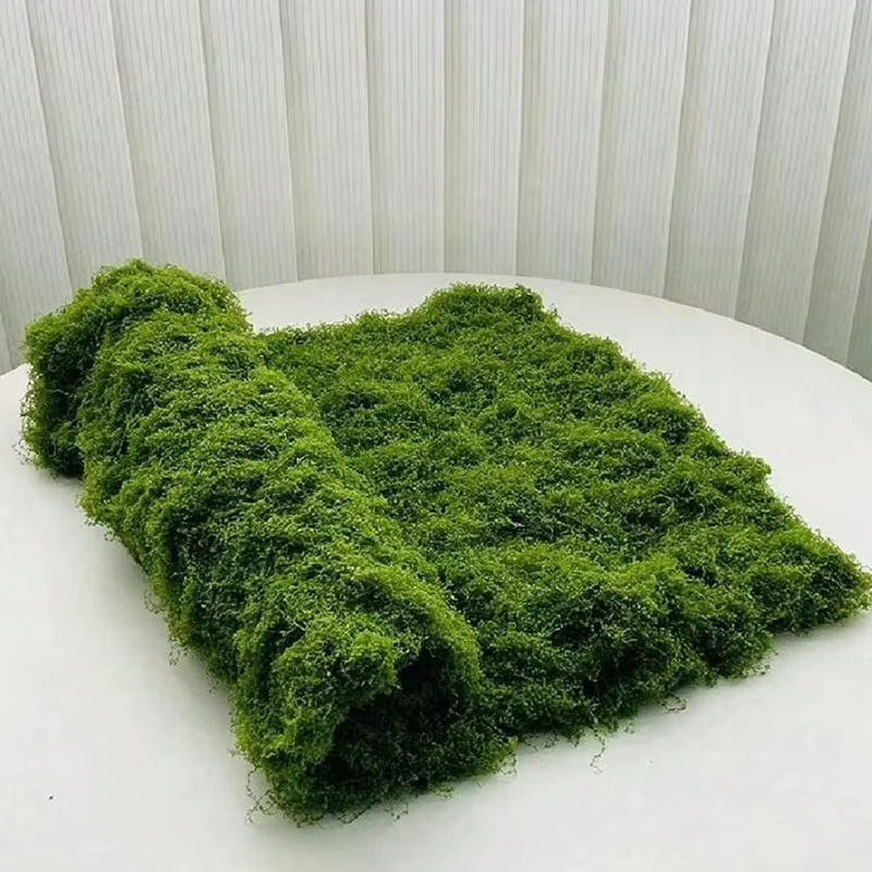 Mousse artificielle pour la décoration de micro-paysages