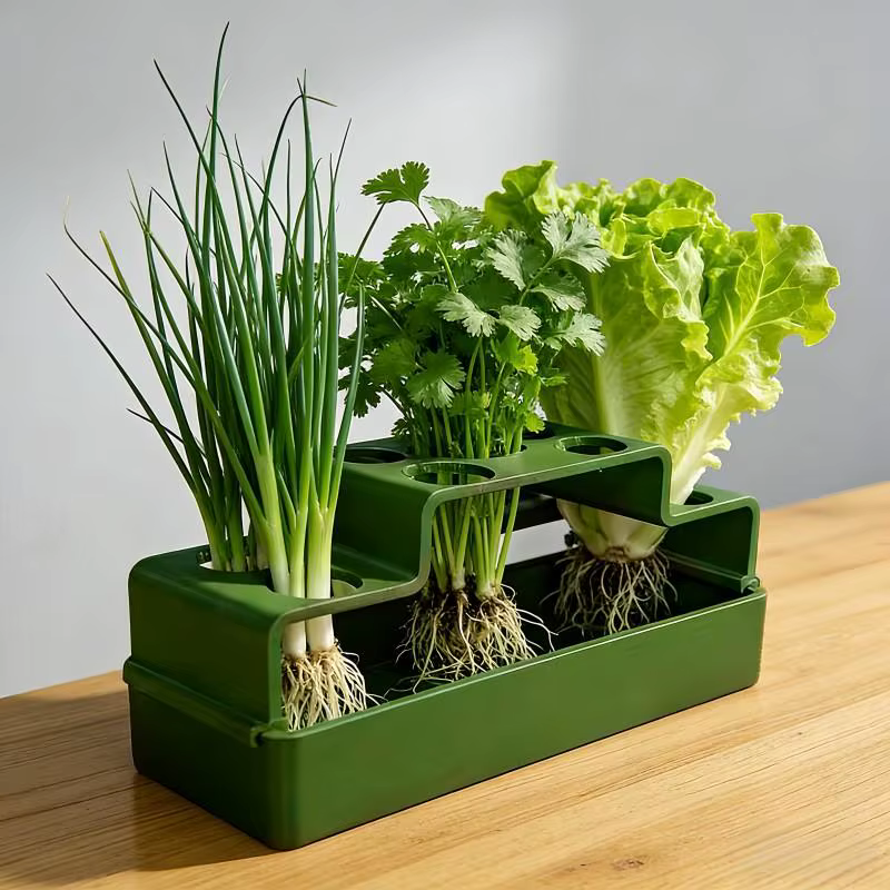 Un dispositif de plantation spécialement conçu pour les oignons verts